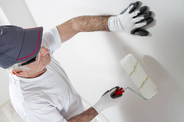  , USA Dry wall and painting Pros